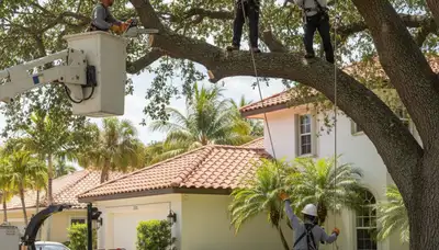 Tree service crew removing a tree in Fort Lauderdale, FL for safe property protection