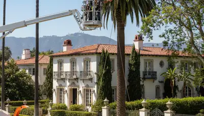 Tree service crew in Fort Lauderdale, FL providing professional tree removal and trimming services