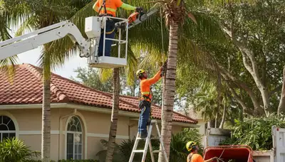 Tree service crew in Fort Lauderdale, FL removing a tree for safe, professional property care