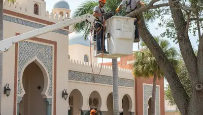 Tree removal team serving Fort Lauderdale, FL for safe tree cutting and storm cleanup
