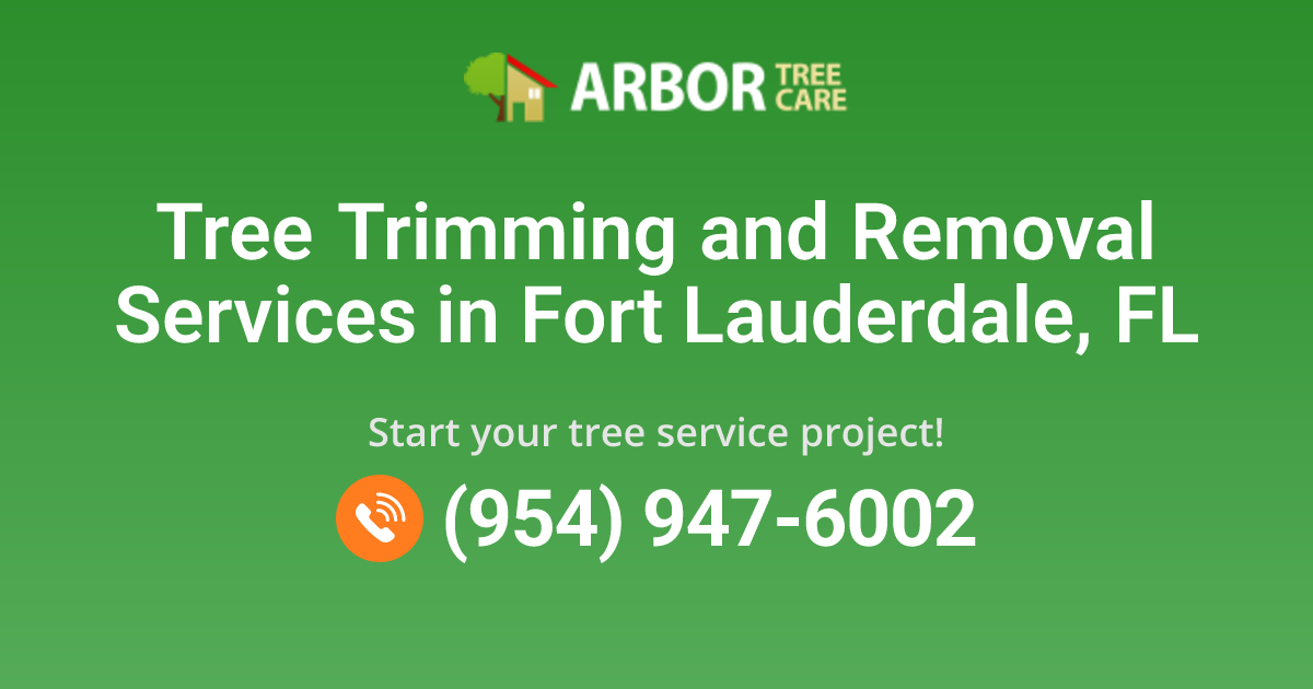 Fort Lauderdale, FL Tree Service Company | Arbor Tree Care