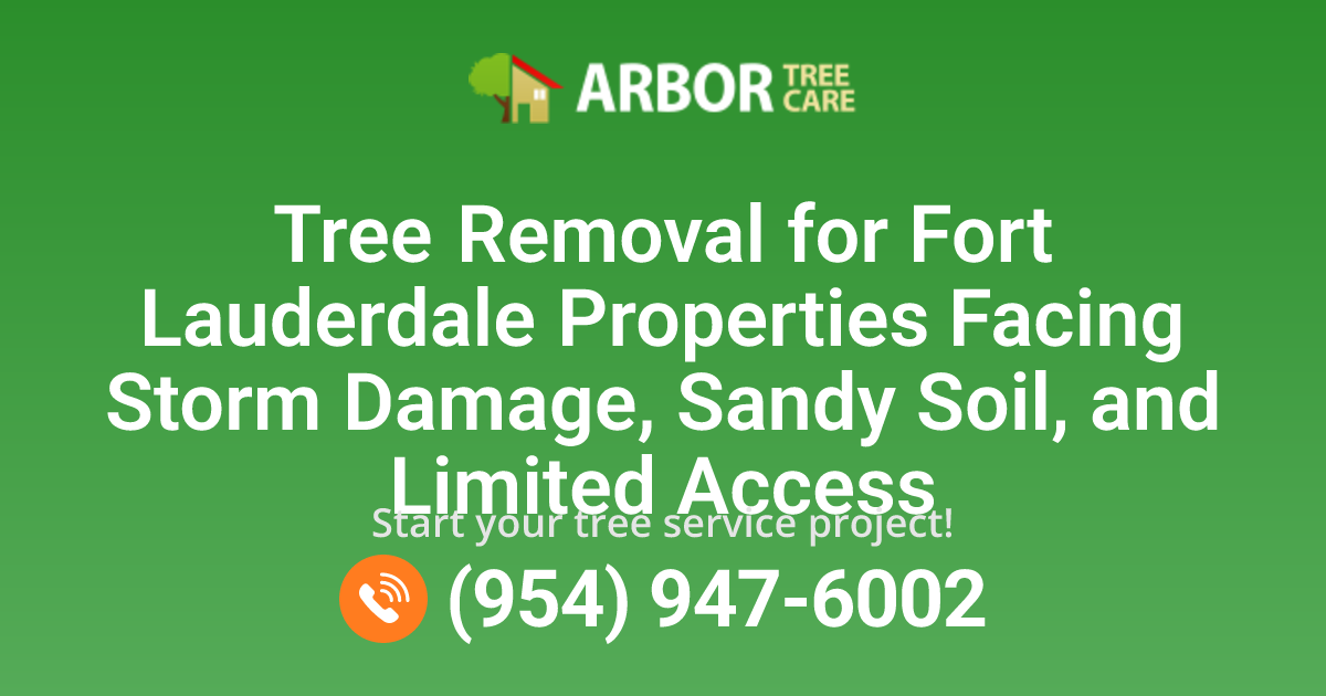 Fort Lauderdale, FL Tree Removal Services | Safe, Local, Professional
